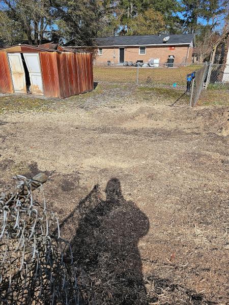 Lytle's Stump Grinding