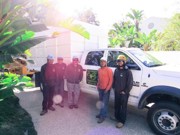 Montecito Tree Care