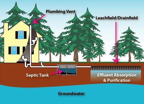 Preventative Septic and Drain