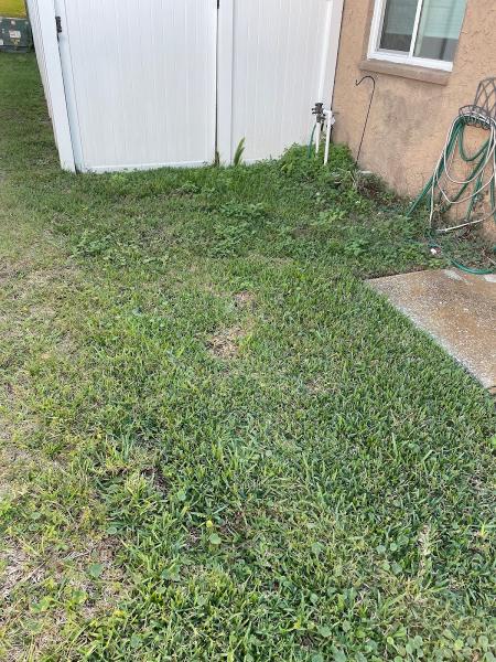 Suffrena Lawn Service