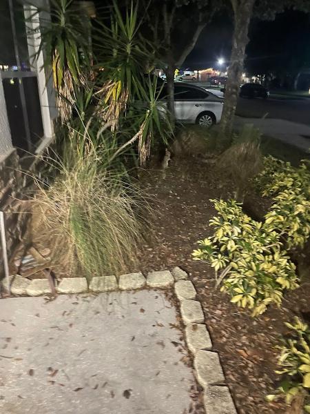 Suffrena Lawn Service