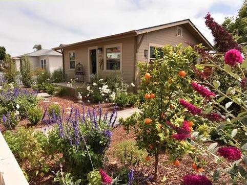 Orangeport Landscape Design