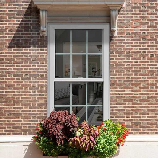 Windows On Washington