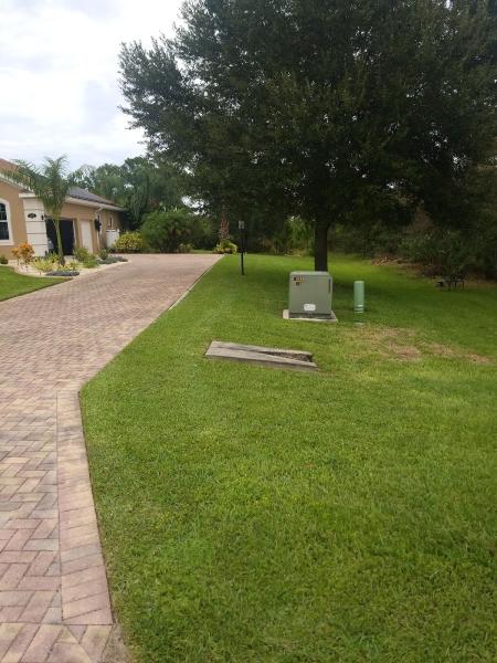 Economy Cut Lawn Care