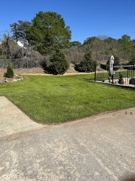 High Quality Lawn Maintenance