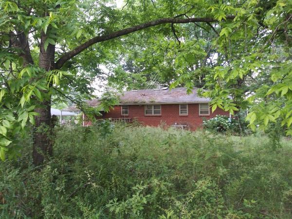 Overgrown Backyards