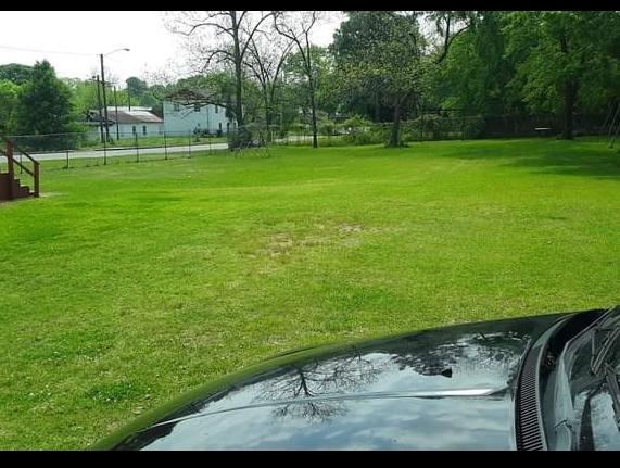 Dell Lawn Service
