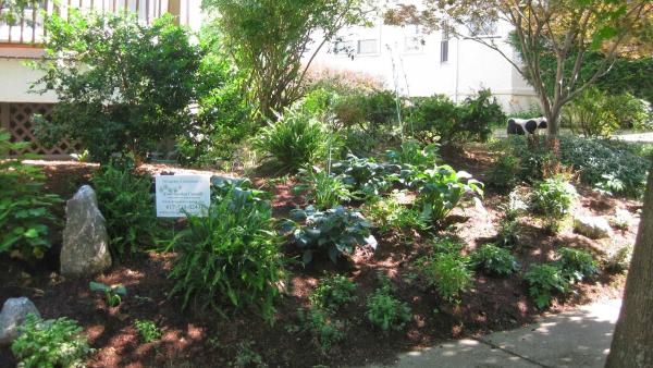 Your Garden Curator
