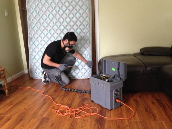 EZ Bed Bug Exterminator NYC