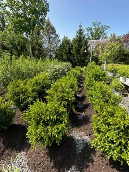ELA Outdoor Living
