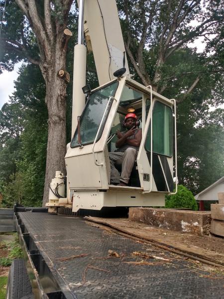 Shackleford Tree Service
