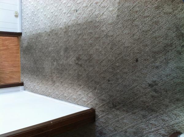 Fiber Care Carpet & Upholstery Cleaning