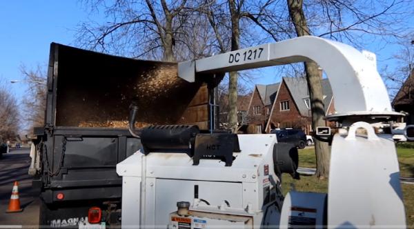 Greenwood Tree Service