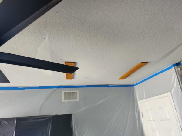 (Handyman) Omega Quality Painting