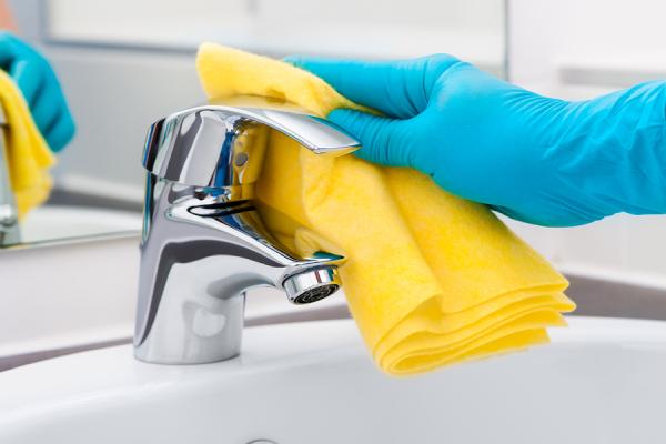 Maid Spotless