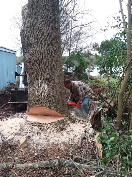 Ricks Tree Service