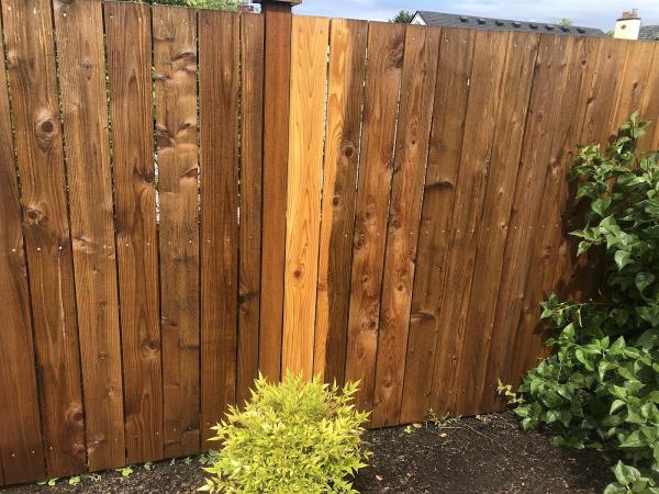 Spectacle Painting LLC