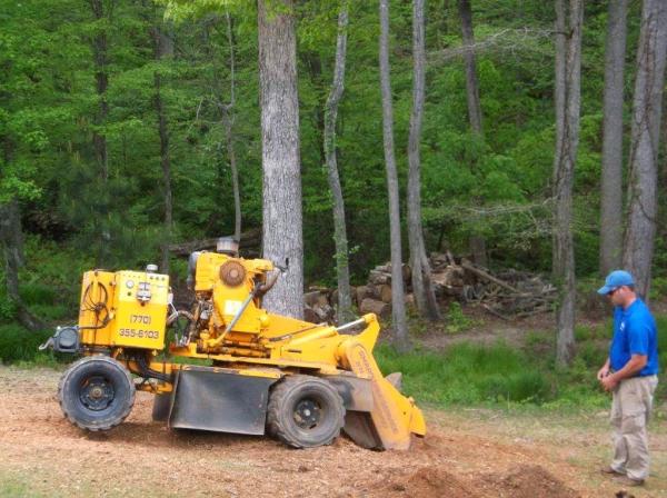 Sharp Tree Service and Sawmill Cumming