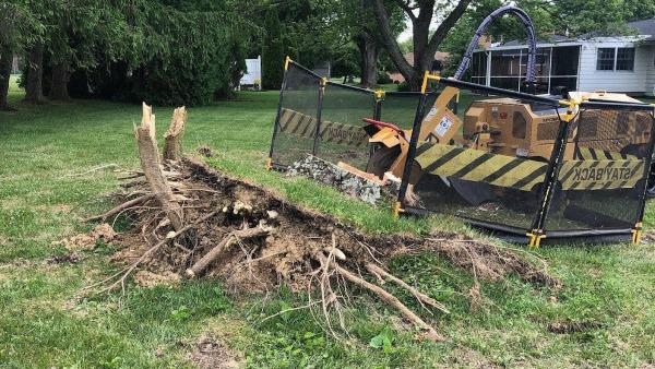 Full Tilt Stump Grinding