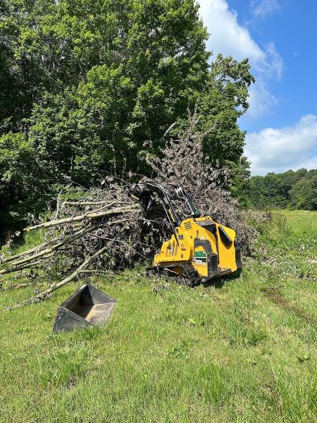 Full Tilt Stump Grinding
