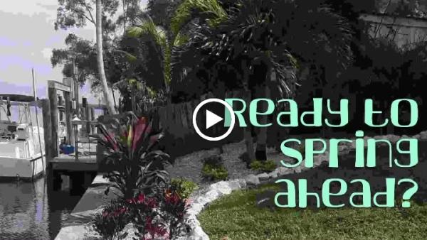 Fast Lawnscapes