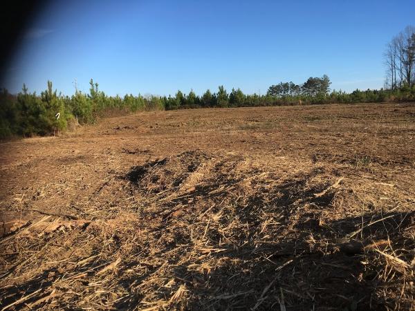 Land Management Services