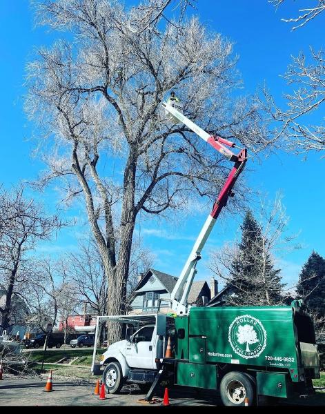 Hollar Tree Company