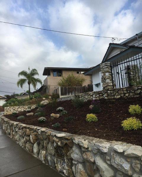 CG Tree and Landscape Inc.