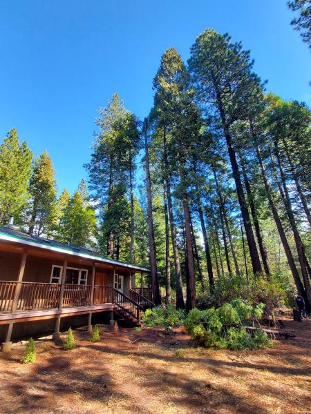 Red Hawk Tree Care