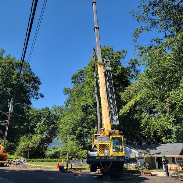 Solar Landscaping & Tree Service