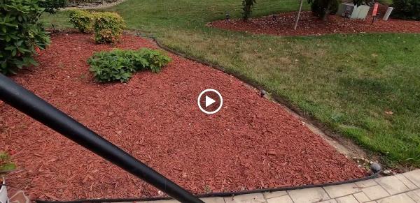 Diamond Pro Wash Inc