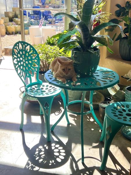 McCumber Fine Gardens