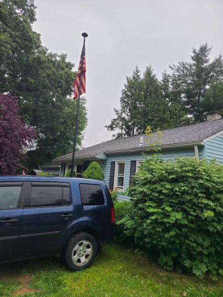 Allied Tree Service