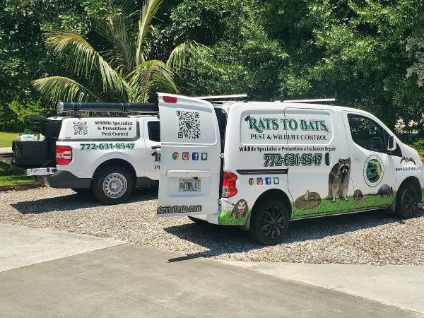 Rats to Bats Pest & Wildlife Control