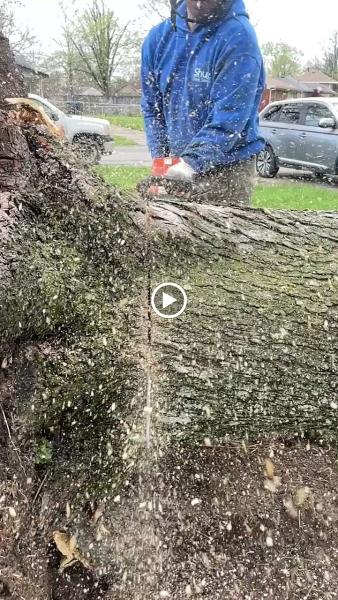 Shults Tree Service