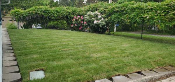 Dream Green Landscapes Llc