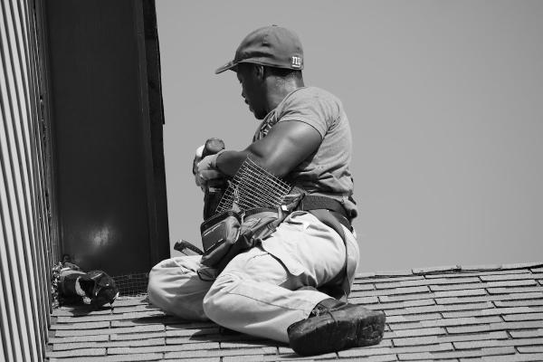 Direct Pest Solutions