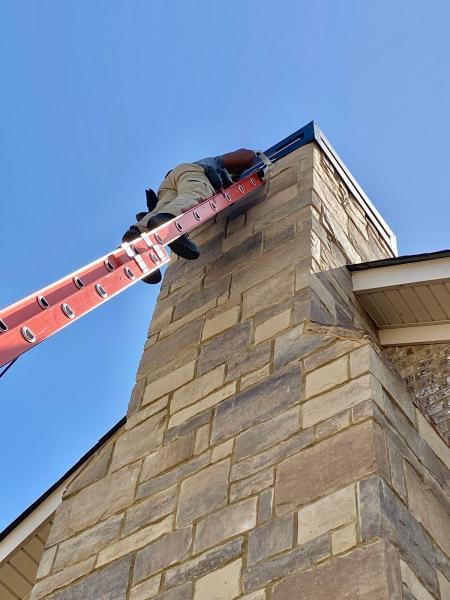 Direct Pest Solutions