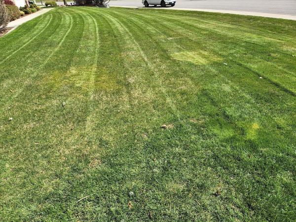Clear Cut Lawn LLC