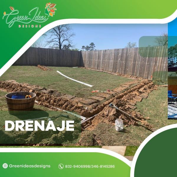 Green Ideas Designs