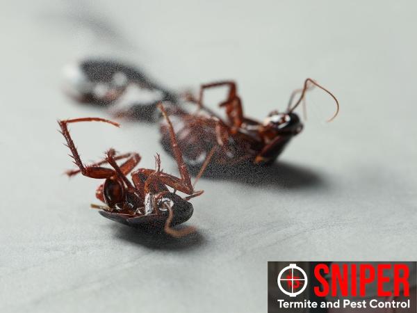 Sniper Termite and Pest Control LLC