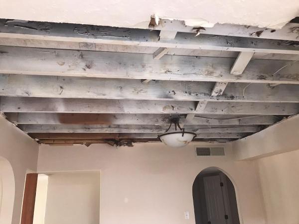 Mold Busters New Mexico