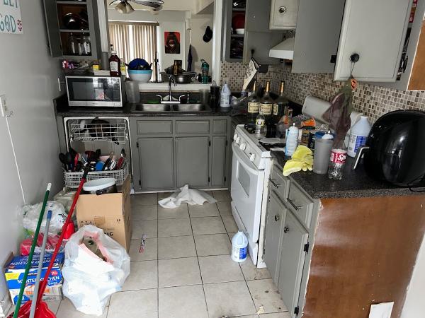 With Love Cleaning Service LLC