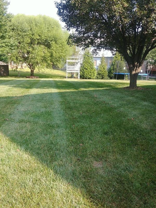 Lawnhoppers kc