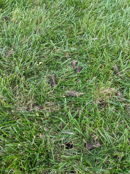 Yardworx Lawn and Landscape
