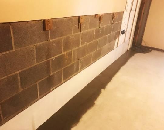 Everdry Waterproofing