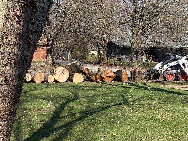 PR Tree Service