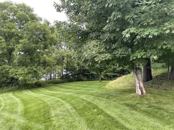 Fresh Greens Lawn Care