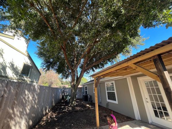 Garcia Professional Tree Service
