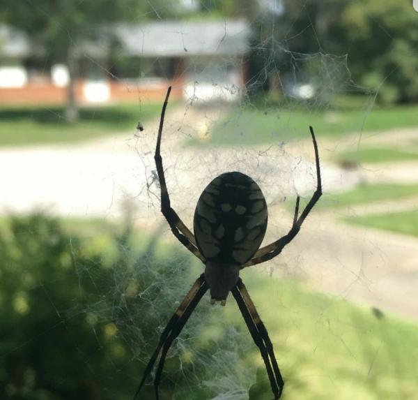 1 Stop Pest Control